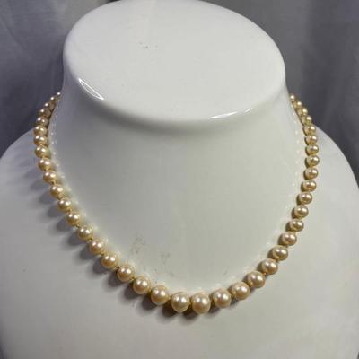 Champagne Faux Pearl Choker