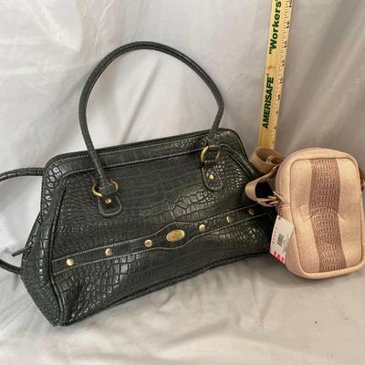 Rosetti Purse and My Cross Body Purse
