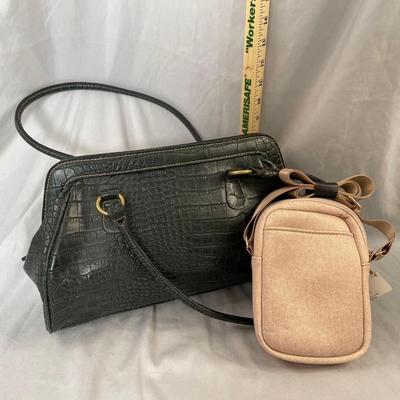 Rosetti Purse and My Cross Body Purse