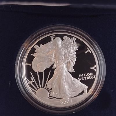 2007 U.S. Mint American Eagle One Ounce Silver $1 Proof Coin (#256)