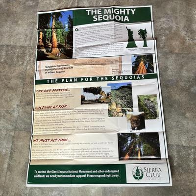 SIERRA CLUB MAP OF UNITED STATES, GIANT SEQUOIA TREE INFO ON BACK
