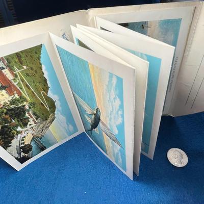 VINTAGE COLOR POSTCARD FOLIO CATALINA ISLAND, CALIFORNIA