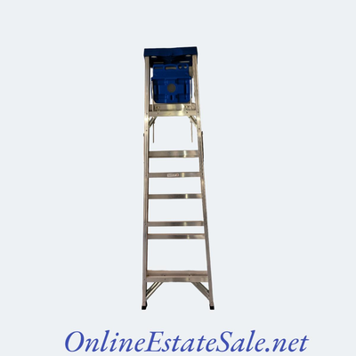 Metal Ladder