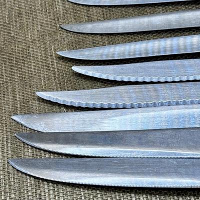 LOT 22 - Collection of Steak Knives