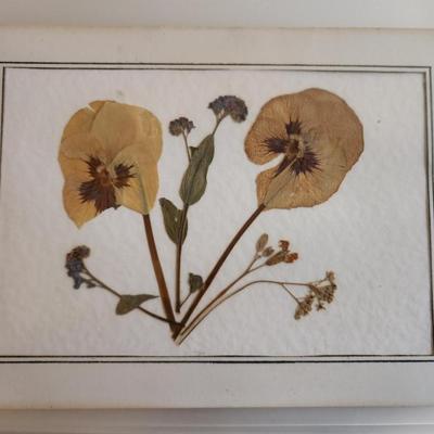 Dried Pansies Notecard