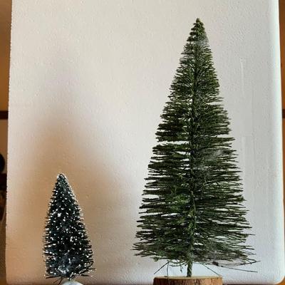 Two Trees (one large, one medium)