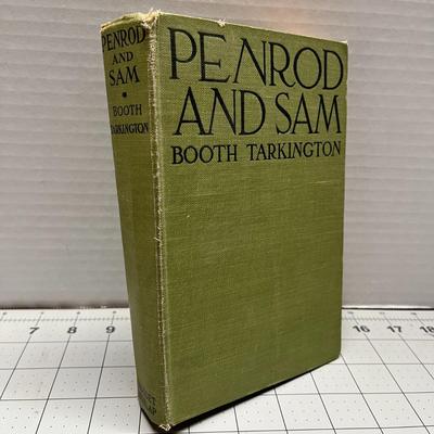 Penrod and Sam by Booth Tarkington (1916)