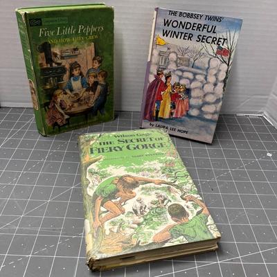 Book Bundle (1)