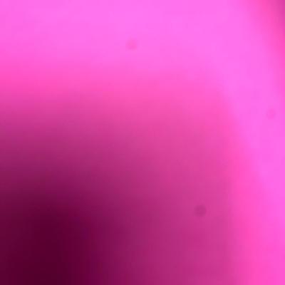 Tarzan The Untamed by Edgar Rice Burroughs (1920)