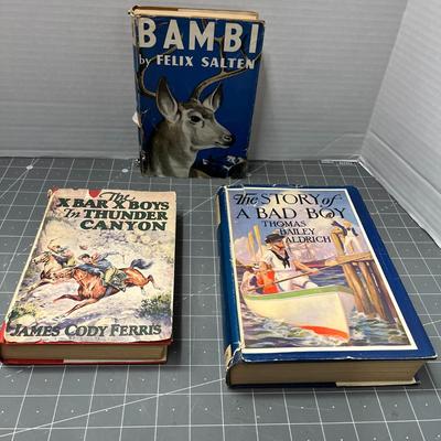 Vintage Book Bundle (3)