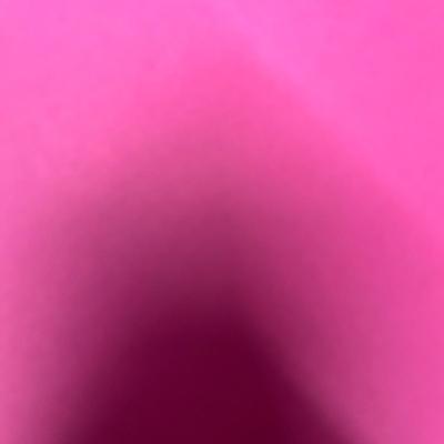 The Temper of a Man by Catherine Drinker Bowen (1963)