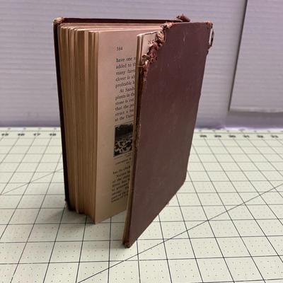 My Minnesota by Antoinette E Ford (1929)