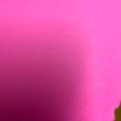 Yoga Book Bundle (21)