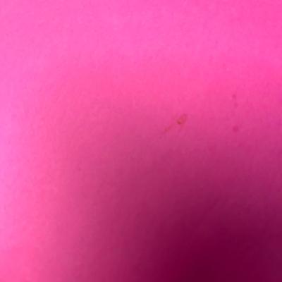 On the Trail of Ancient Man by Roy Chapman Andrews (1926)