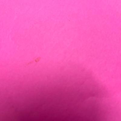 Porsche 911 Book Bundle (2)