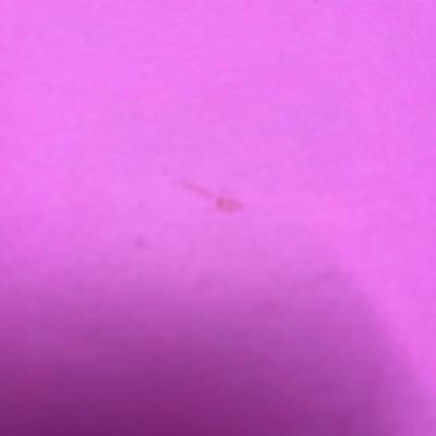 Guitar Music Book Bundle (77)