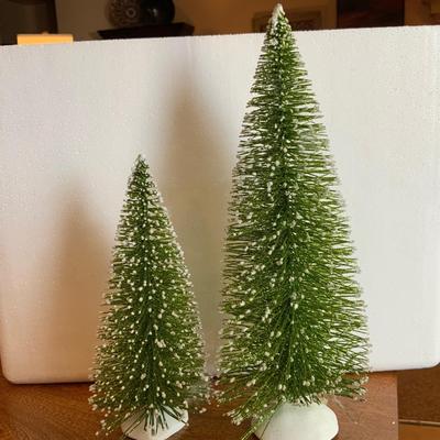 Two trees ( one large one medium)