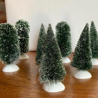 Seven miscellaneous small/medium trees
