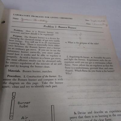 Vintage Laboratory Problems For Living Chemistry