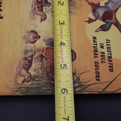 New Orleans Outdoor Books/Pamphlets (4)