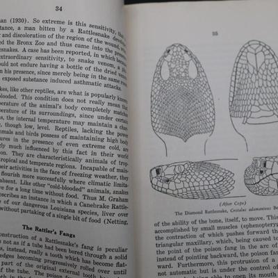 New Orleans Outdoor Books/Pamphlets (4)