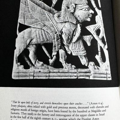 LOT 30 - The Bible as History in Pictures - 329 Illustrations and 8 Color Plates