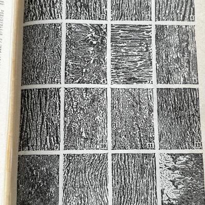 LOT 31 - 1943 Funk & Wagnalls Illustrated College Standard Dictionary