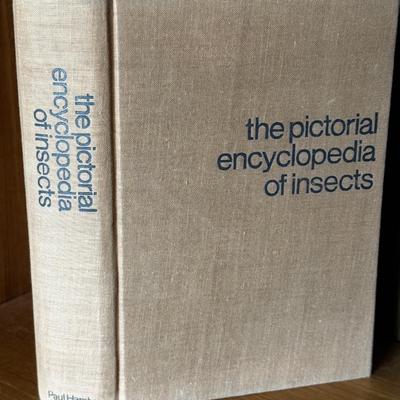 LOT 32 - 1969 The Pictorial Encyclopedia of Insects - Moths / Butterflies