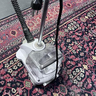 Rowenta Steamer 