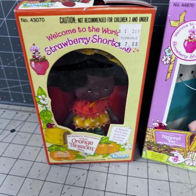 Vintage 1970's Strawberry Shortcake Dolls 