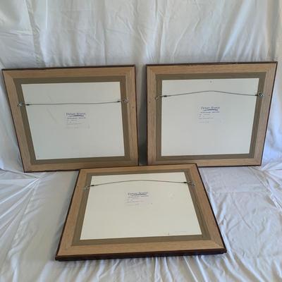 Three Framed Flowers of Provence Art (DR-RG)