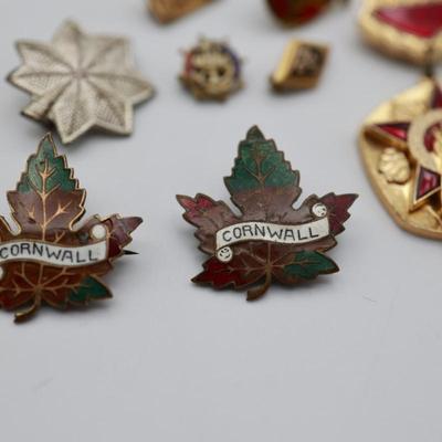 Variety of Pins
