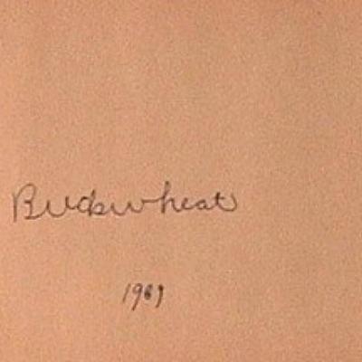 Buckwheat 