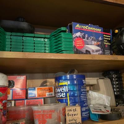 Garage items in cupboard