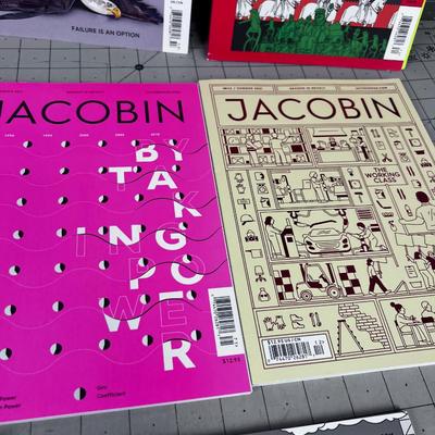 8 Issues of Jacobin Magazine 