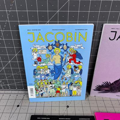 8 Issues of Jacobin Magazine 