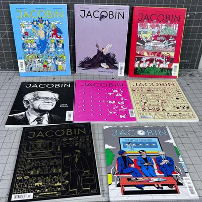 8 Issues of Jacobin Magazine 
