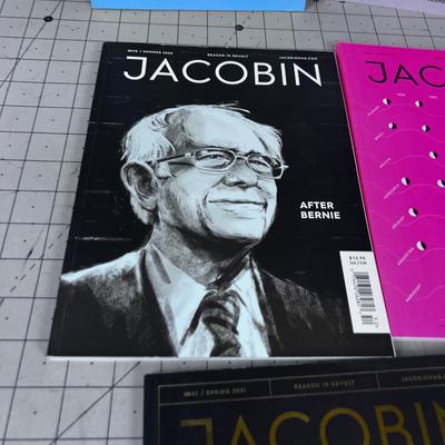 8 Issues of Jacobin Magazine 