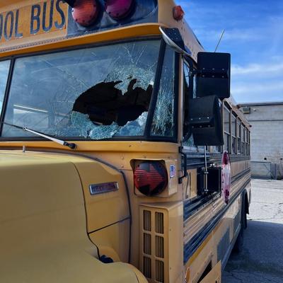 Blue Bird School Bus Ford Chassis Cummins Engine
