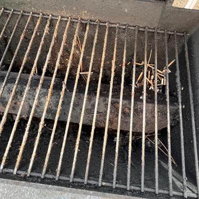 BBQ grill