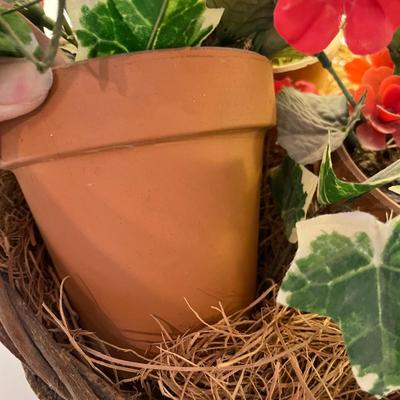 Geranium plants in baskets