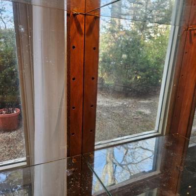 Oak Curio Cabinet with Glass Shelves (BD-DW)