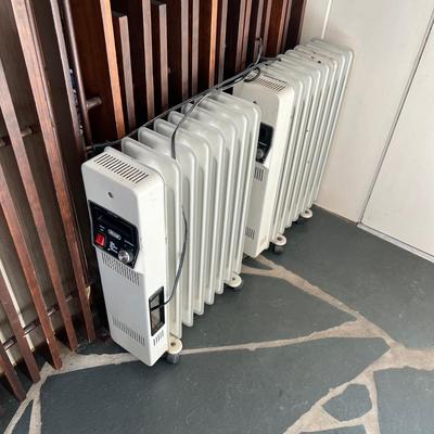 Pair of Delonghi Heaters (LR-RG)