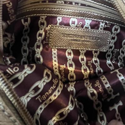 Tignanello Metallic Purse (16)