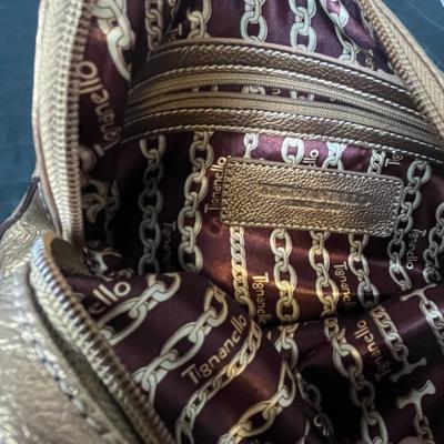 Tignanello Metallic Purse (16)