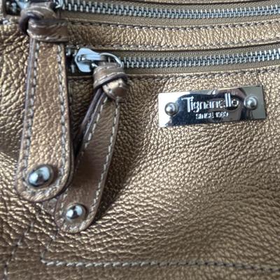 Tignanello Metallic Purse (16)