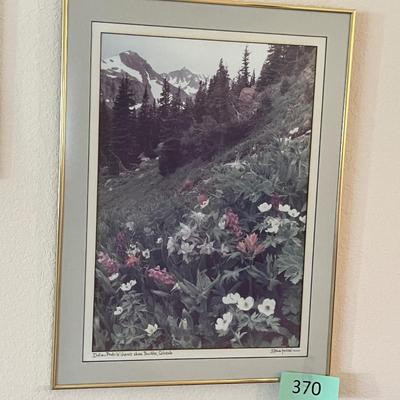 Colorado Art