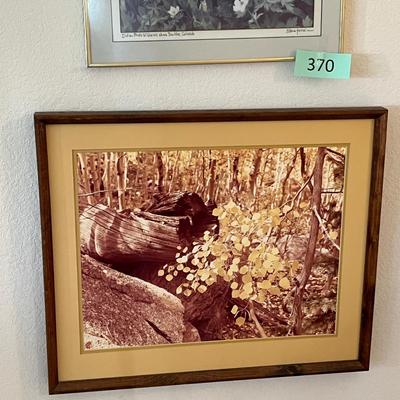 Colorado Art