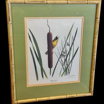 Pair of Signed Roy Harm Vintage Bamboo Framed Bird Lithographs