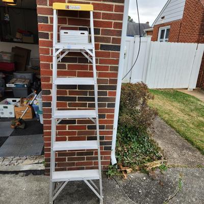 6ft Davidson Ladder Type II Commercial
